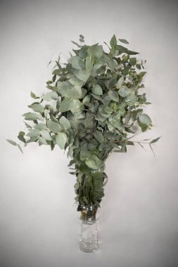 Vazoda bir demet yeşil yaprak