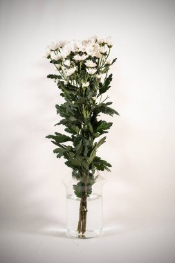 Çiçek buketiyle beyaz bir vazonun dikey yakın çekimi.