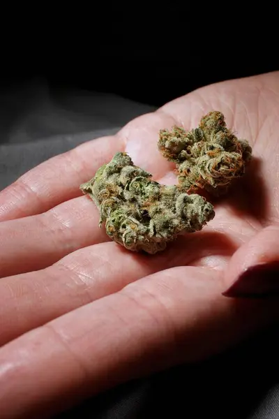 Cannabis Mão Sombras — Fotografia de Stock