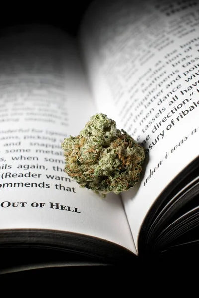 Cannabis Libro Ombra — Foto Stock