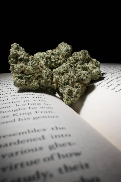 Cannabis Egy Könyv — Stock Fotó