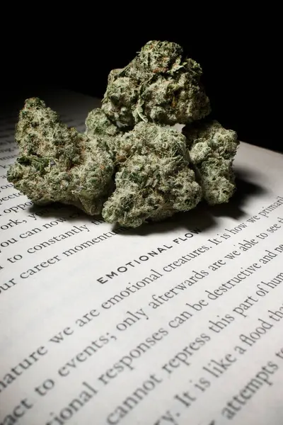 Kannabisz Egy Könyv — Stock Fotó