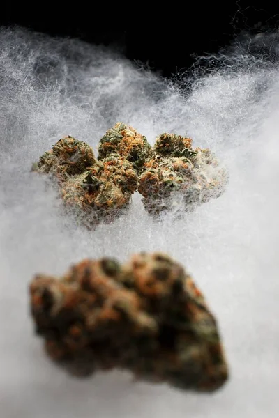 Cannabis Bäddsoffa Fyllning Moln — Stockfoto