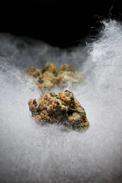 Cannabis Sul Divano Ripieno Nuvole — Foto Stock