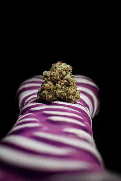 Cannabis Hueso Perro — Foto de Stock