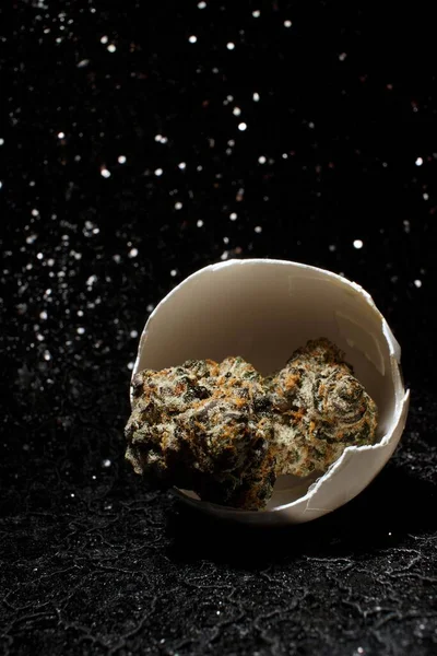 Cannabis Huevo Agrietado —  Fotos de Stock