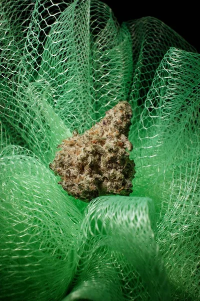 Cannabis Tvättsvamp Dusch — Stockfoto