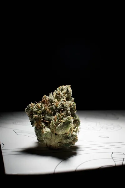Cannabis Superficie Bianca — Foto Stock