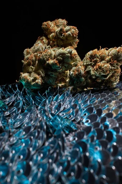 Cannabis Com Brilho Azul Textura Verde — Fotografia de Stock