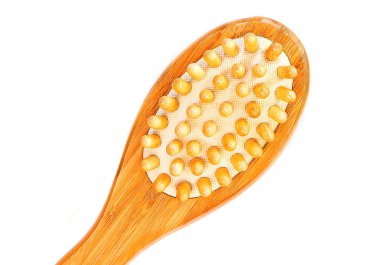 Spa ve Sağlık - Banyo fırçası beyaz arkaplanda izole