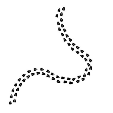 Geyik ayak izleri, geyik izi vektörü