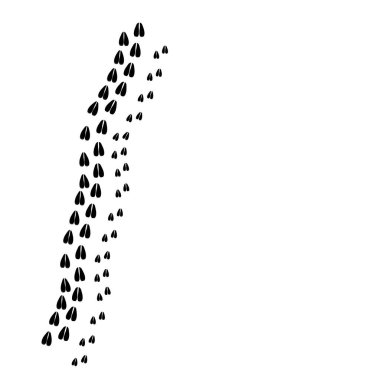 Geyik ayak izleri, geyik izi vektörü