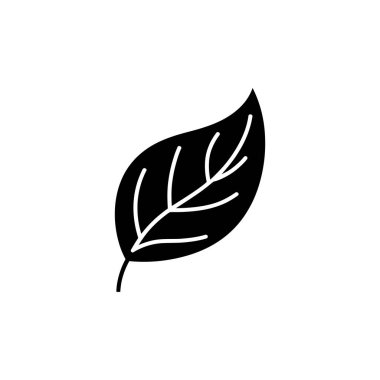 Ayrıntılı tasarım, şeffaf bir arkaplan üzerine kurulmuş, görünür damarlı bir yaprağın izole bir siluetini gösterir.