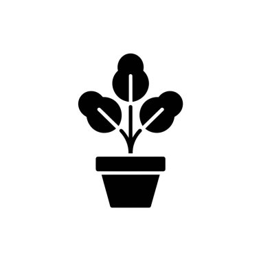 Katı bir saksı bitkisi simgesi. Bu minimalist tasarımın gür yaprakları ve şeffaf bir geçmişi var. Çeşitli projeler ve uygulamalar için ideal.