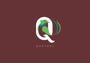 Bu Quetzal 'ın modern logosu, Quetzal' in baş harfi Q harfiyle Quetzal 'in harika bir kombinasyonu..