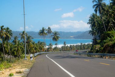 Summer on a tropical island with coconut trees along the road clipart