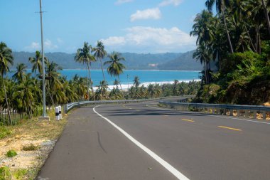 Summer on a tropical island with coconut trees along the road clipart