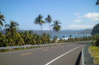Yol boyunca hindistan cevizi ağaçları olan tropik bir adada yaz.