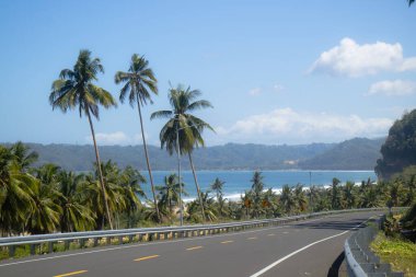 Yol boyunca hindistan cevizi ağaçları olan tropik bir adada yaz.