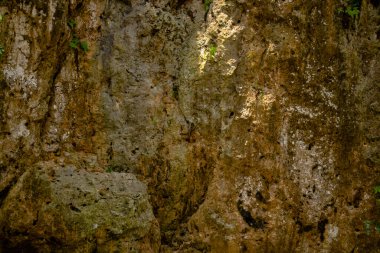 Bu kayalık duvar yüzeyinin doğal yakın görüntüsü..