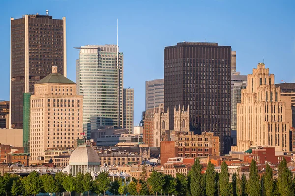 Old Montreal Morning Modern Towers Basilique Notre Dame Other Historical — Stock Photo, Image