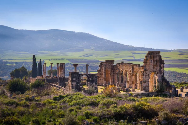 Piękny Widok Bazylikę Volubilis Maroko — Zdjęcie stockowe