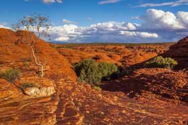 Kings Canyon 'da kaya oluşumları, Kuzey Bölgesi, Avustralya