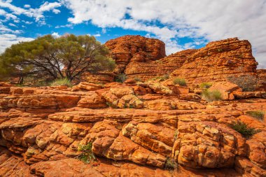 Kings Canyon, Kuzey Toprakları, Avustralya 'da kaya oluşumları ve ağaçlar