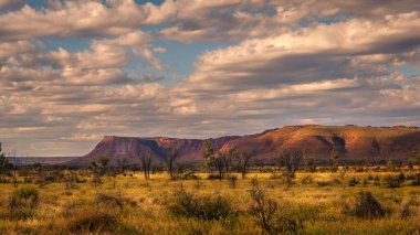 Watarrka Ulusal Parkı (Kings Canyon), Orta Avustralya, Kuzey Toprakları, Avustralya