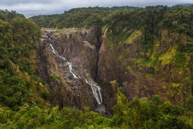Barron Gorge Ulusal Parkı 'ndaki Barron Falls, Queensland, Avustralya