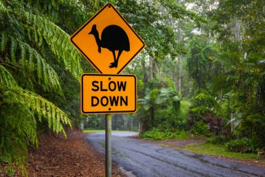 Cassowary yol uyarı işareti, Kuranda, Queensland, Avustralya