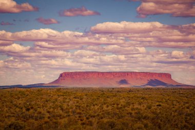 Mount Conner, Northern Territory, Avustralya