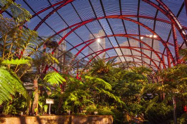SYDNEY, AUSTRALYA - CIRCA AUGust 2016: Sydney Fernery, Royal Botanic Garden, Sydney, Avustralya