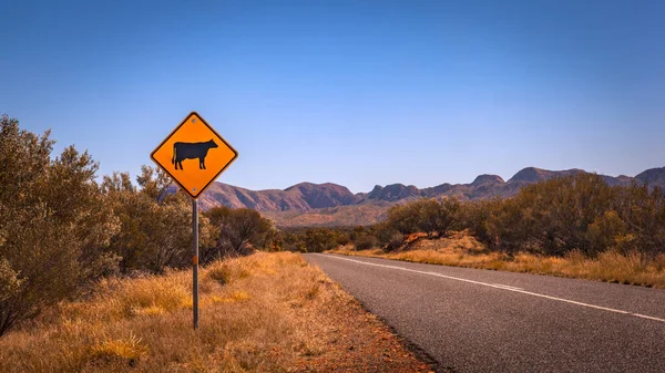 Cow Warning Signal Northern Territory Australia — Stock Photo, Image