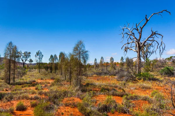 より低いハイウェイ 中央オーストラリア 北部テリトリーに沿って流れる砂漠 オーストラリア — ストック写真