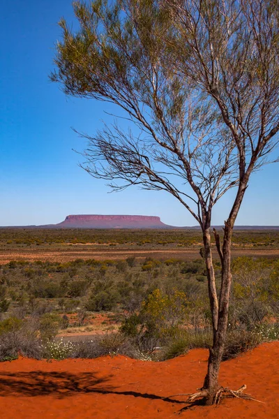 View Mount Conner Clear Winter Day Northern Territory Australia — Stock Photo, Image
