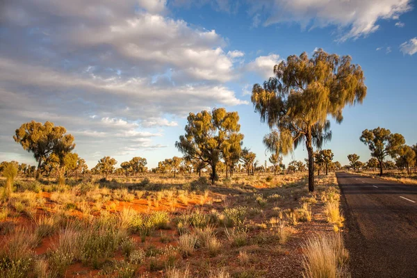 ウォーターカ国立公園 セントラルオーストラリア ノーザンテリトリー オーストラリアのリトリジャ道路の景観 — ストック写真