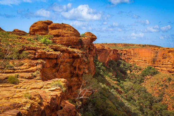 Vue Panoramique Avec Formations Rocheuses Kings Canyon Territoire Nord Australie — Photo