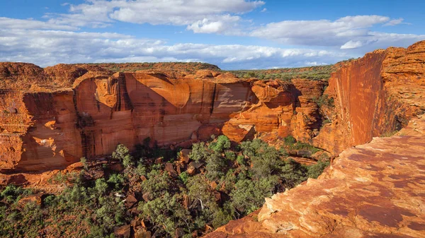 Vue Panoramique Canyon Kings Australie Centrale Territoire Nord Australie — Photo
