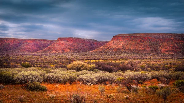 Paisagem Panorâmica Parque Nacional Watarrka Austrália Central Território Norte Austrália — Fotografia de Stock