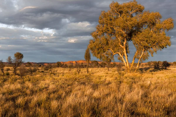 Vista Panorâmica Parque Nacional Watarrka Kings Canyon Austrália Central Território — Fotografia de Stock