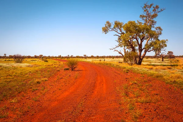 Dirty Road Australia Outback Terytorium Północne Australia — Zdjęcie stockowe