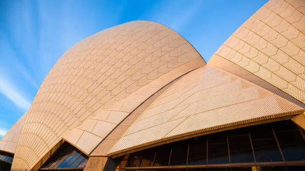 Sydney Österrike Circa August 2016 Den Ikoniska Sydney Opera House — Stockfoto