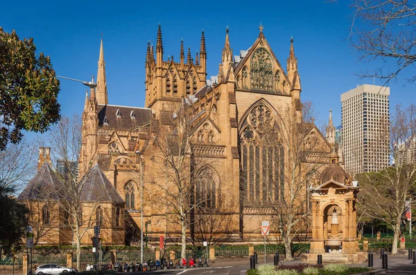 Achtergevel Mary Cathedral Sydney Australië — Stockfoto