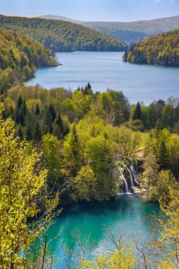 Güzel çağlayan göller ve yeşil ormanlar, Plitvice Gölleri Ulusal Parkı, Hırvatistan