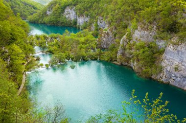 Turkuaz suları ve yeşil ormanlarıyla çağlayan göllerin nefes kesici manzarası, Plitvice Gölleri Ulusal Parkı, Hırvatistan