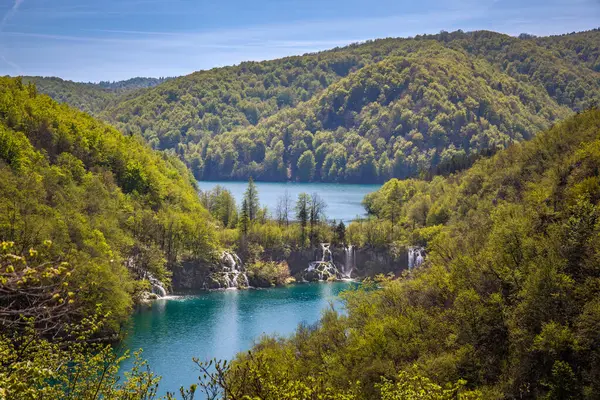Green Forests Cascading Lakes Pure Water Plitvice Lakes National Park — Stock Photo, Image
