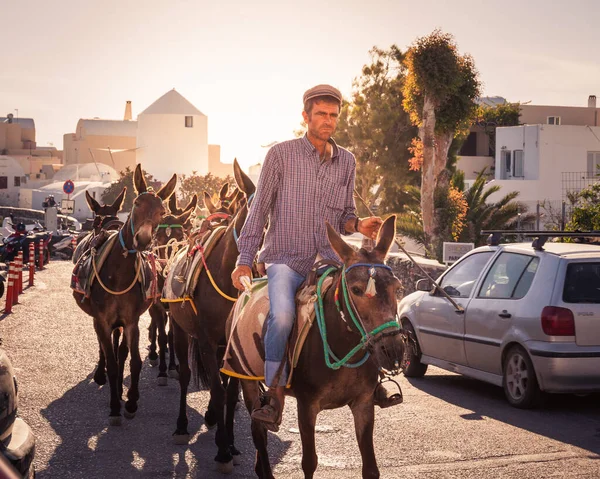 サントリーニ島のオイアにある彼のロバとギリシャの農夫 サントリーニ島では ドンキーは島の急な崖の道の上に観光客を運ぶ — ストック写真