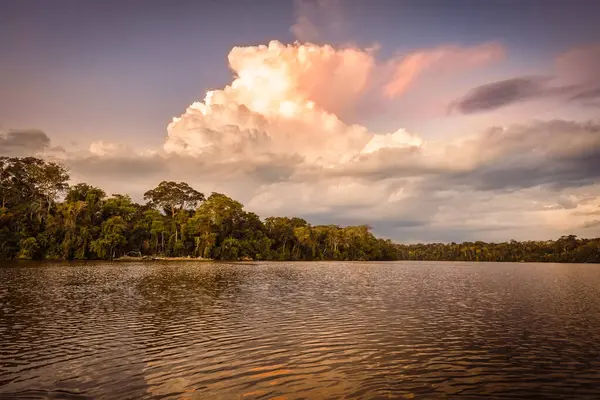 秘鲁马尔多纳多港Tambopata自然保护区日落时的桑多瓦尔湖景观 — 图库照片