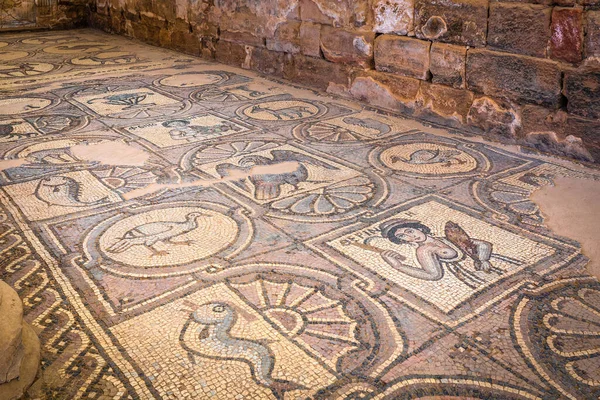 Mosaicos Antigua Iglesia Bizantina Petra Jordania —  Fotos de Stock